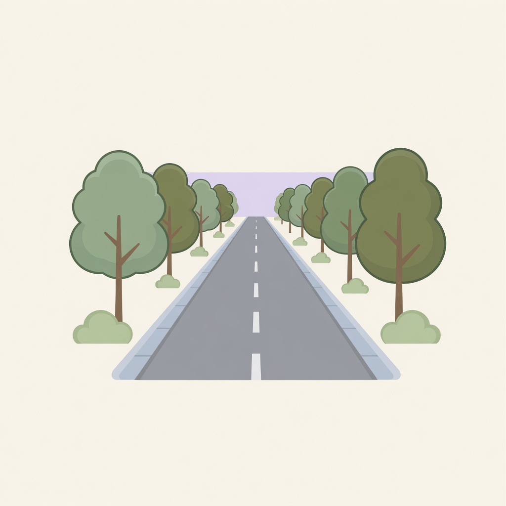 road; way